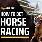 bet on horse race